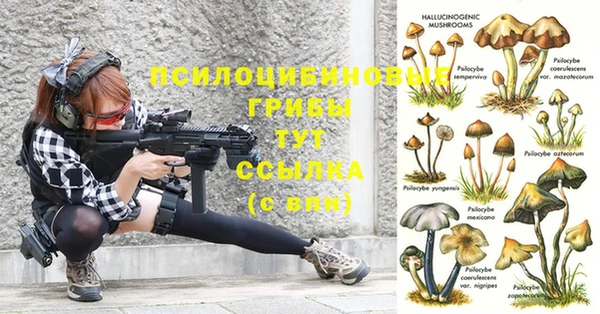 спиды Балахна