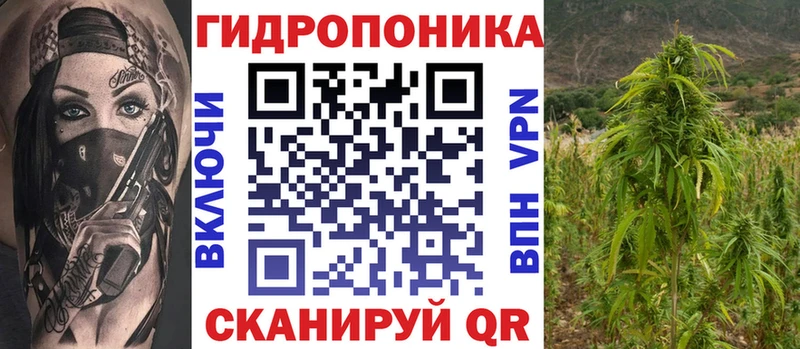 МЕГА онион  Севск  Каннабис гибрид  дарнет шоп 
